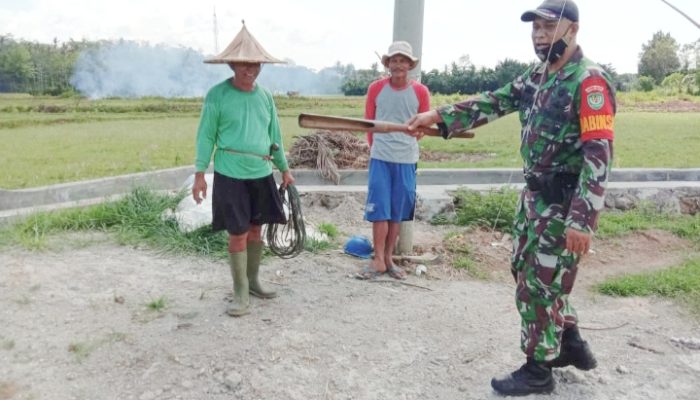 Babinsa Koramil 2304/Anyar, Komsos Membahas Tentang Tanam Padi