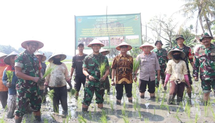 Ketahanan Pangan Kodim 0623/Cilegon : Bentuk Kolaborasi Kodim 0623/Cilegon Bersama Dinas Pertanian Kota Cilegon