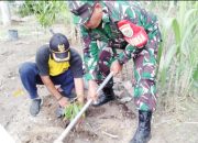 Babinsa Koramil 2301/Cilegon, Karbak Penanaman Pohon Keras