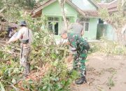 Babinsa Koramil 2305/Cinangka, Karbak Pemangkasan Pohon