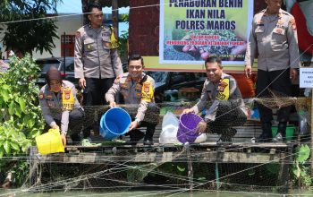 Dukung Penuh Program Asta Cita Presiden,Polres Maros Tebar 10.000 Bibit Ikan Nila