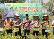 Polres Maros Bersama Biro SDM Polda Sulsel Panen Raya Cabai Di Moncongloe