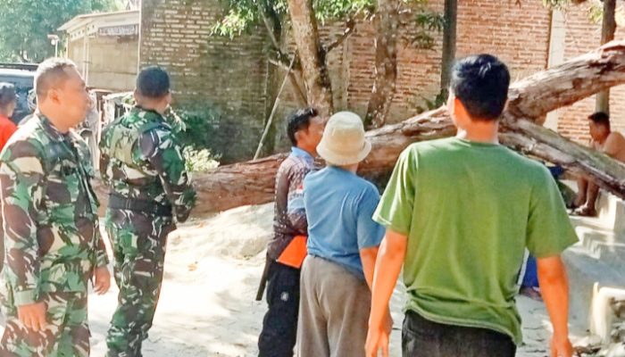 Babinsa Koramil 2305/Cinangka, Karbak Pembersihan Batang Kayu Tumbang