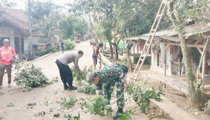 Babinsa Koramil 2305/Cinangka, Karbak Pemangkasan Pohon