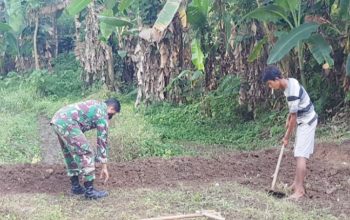 Babinsa Koramil 2306/Mancak, Bintahwil Membantu Kegiatan Ketapang