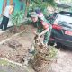 Babinsa Koramil 2301/Cilegon, Karbak Pembersihan Sampah Jalan