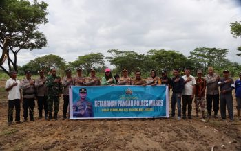 Dukung Program Ketahanan Pangan, Polres Maros Tanam Jagung di Lahan Seluas 2 Hektar