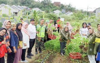 Babinsa Koramil 2301/Cilegon, Bintahwil Ketahanan Pangan